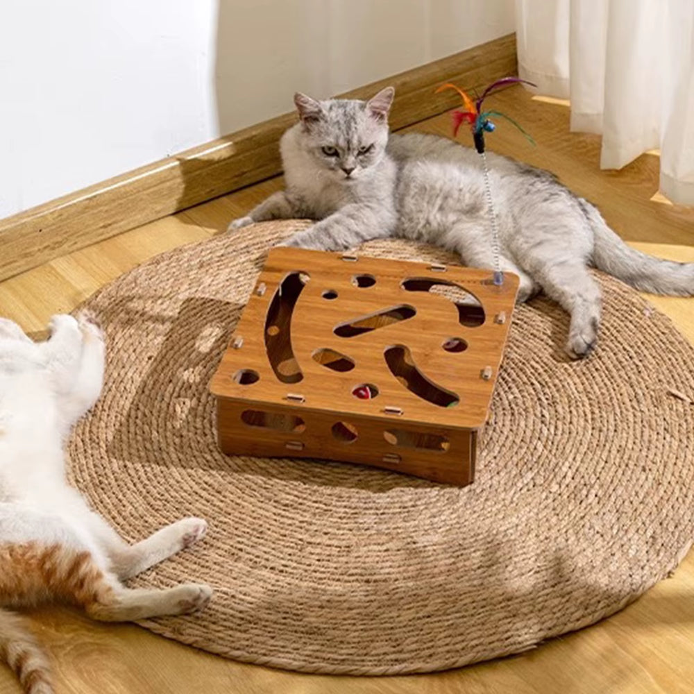 Cat Nail File Enrichment Box with 6 Balls Cats Nail File Scratcher Toy Interactive Cat Scratch Puzzle Box for Kitten Indoor Cat